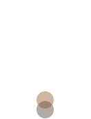 章程 章程